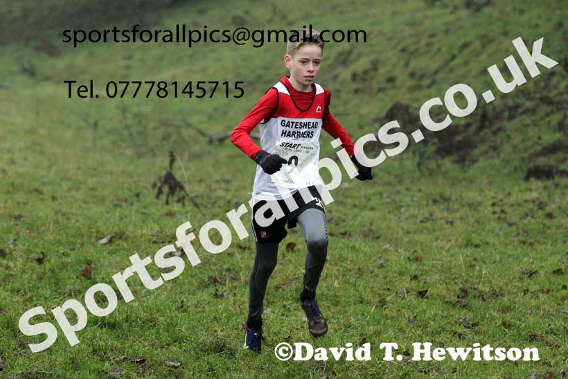Boys under-13s, NECAA Junior Cross Country Relays, Thornley Farm, Peterlee, Saturday, December 12th. Photo: David T. Hewitson/Sports for All Pics